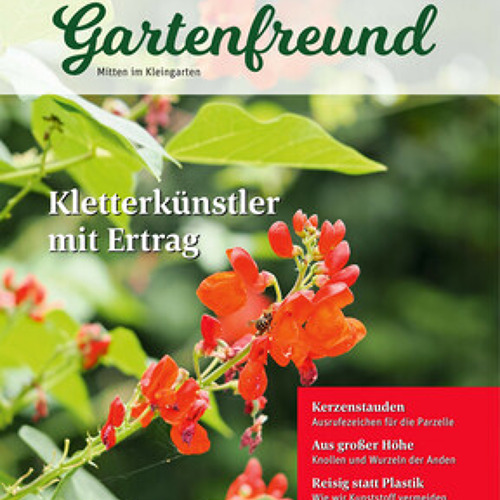 Beitrag Verbandszeitung April 2026