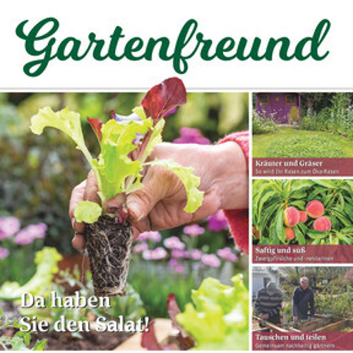 Beitrag Verbandszeitung April 2025