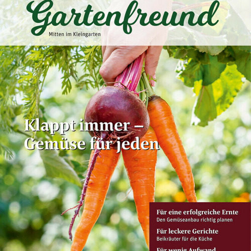 Beitrag Verbandszeitung M&auml;rz 2026