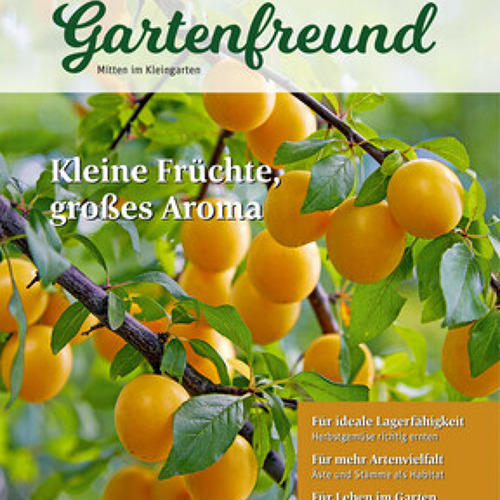 Beitrag Verbandszeitung Oktober 2026