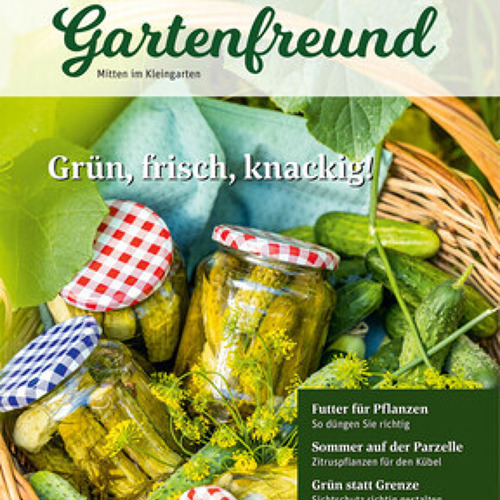 Beitrag Verbandszeitung Mai 2026