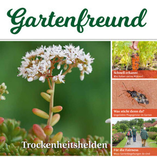 Beitrag Verbandszeitung Juli 2023