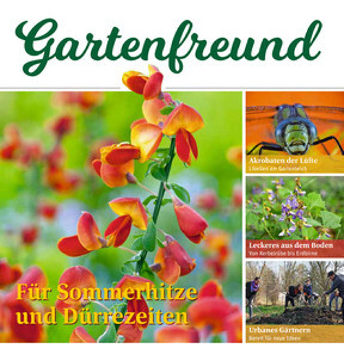 Pressemitteilung September 2021