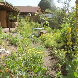 Garten- und Informationszentrum (GIZ)