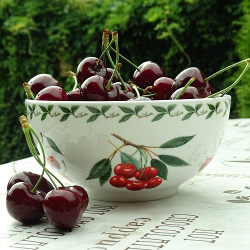 Mobiler Sprechtag in Calbe