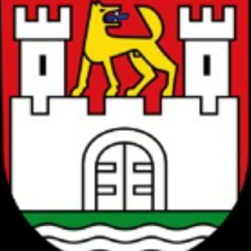 Ehrenamtsbörse Wolfsburg       