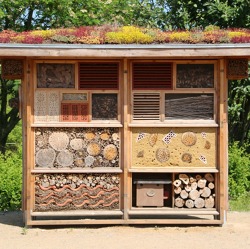 Insektenhotel: Helfen wir der Natur im Garten!