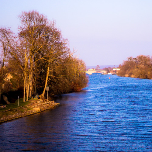 Verbandsschau des Wasser- und Bodenverband "Welse"