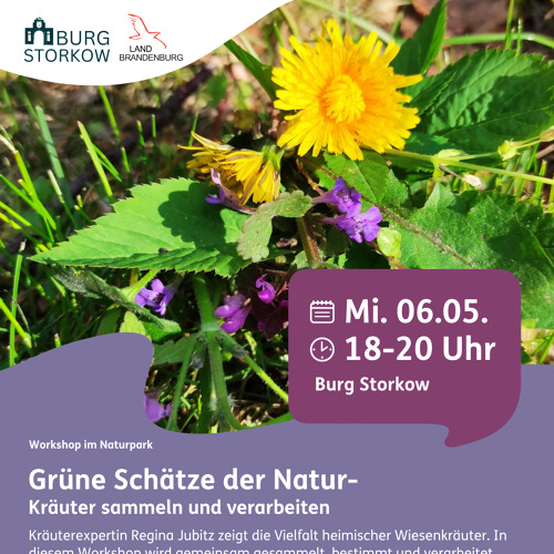 Gr&uuml;ne Sch&auml;tze der Natur - Kr&auml;uter sammeln und verarbeiten