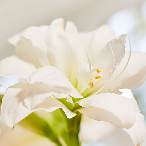 Newsletter der Firma Compo 