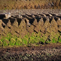 Torf ins Moor, nicht ins Blumenbeet