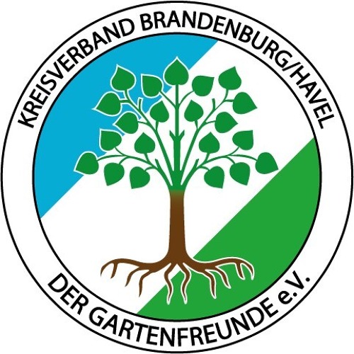 Hinweise zum Umgang mit Thuja Anpflanzungen