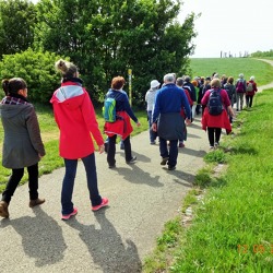10. Kleingartenwanderung in Marzahn-Hellersdorf