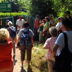 Marzahner Kleingärtner laden zur Wanderung am 15. Oktober 2023