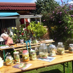 Sommer im Glas &nbsp; &nbsp;- &nbsp;Workshop im Kleingartenverein