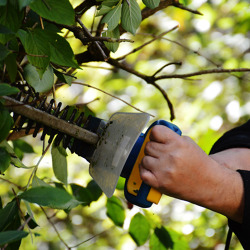 Schulungsprogramm 2022 der Gartenfachberatung des BV Marzahn