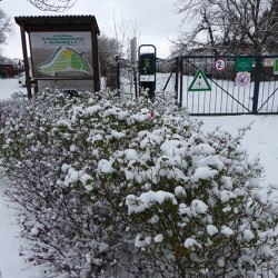 Kalenderbl&auml;tter - &nbsp;Nachlese Januar 2021