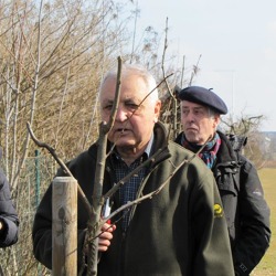 Lehrvorf&uuml;hrung zum Obstbaumschnitt