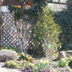 Fr&uuml;hlingserwachen und Ostern 2020 im Kleingarten