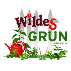 Neues von der radioBERLIN 88,8-Aktion "Wildes Gr&uuml;n"