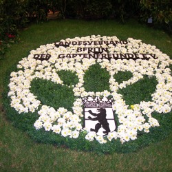 Kalenderbl&auml;tter &nbsp;Januar &nbsp;2022 &nbsp;- &nbsp;Eisblumen und Blumenfeuerwerk zum Jahresbeginn ?
