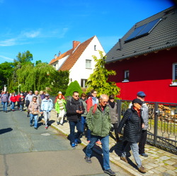 Vom Goldk&ouml;rnchen zum Kaulsdorfer Busch &nbsp; &nbsp; &nbsp;