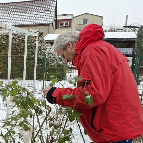 Winterschnitt an Zier- und Obstgeh&ouml;lzen
