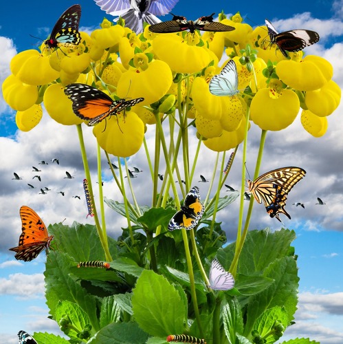 Sommerzeit = Urlaubszeit