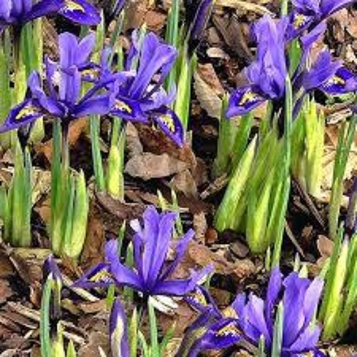 Tipps für das Frühjahr