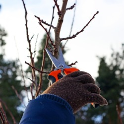 To Do's im Winter:    