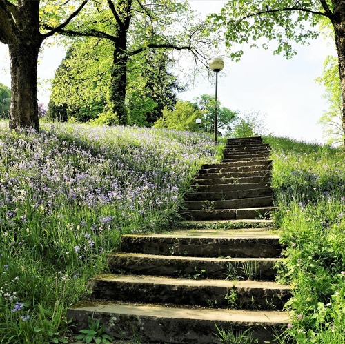21. Wanderung durch die Leipziger Kleingartenanlagen