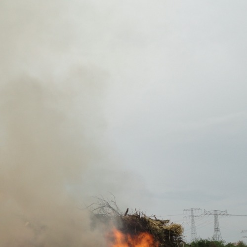 Verbrennen von Gartenabf&auml;llen und Gr&uuml;nschnitt ist verboten