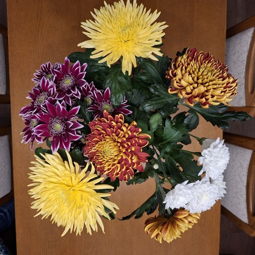 Auszeichnungen verdienter Kleing&auml;rtner&nbsp;