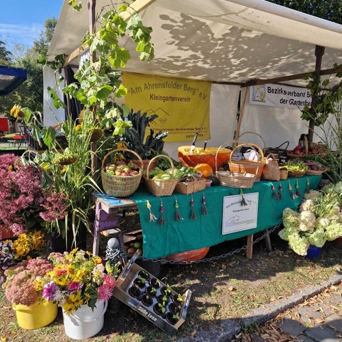 Die KGA "Am Ahrensfelder Berg" beteiligt sich am 28. Marzahner Erntefest mit 30. Umweltfest