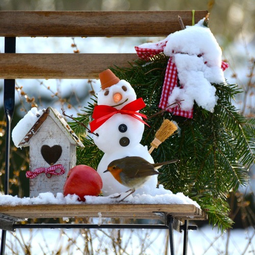 Winterfest / Samentauschb&ouml;rse