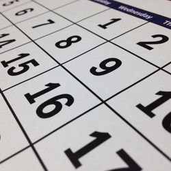  Berliner Umweltkalender 