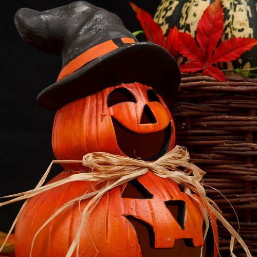 Schaurige Einladung zum Garten-Halloween 🎃👻