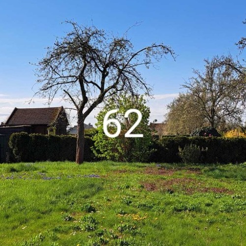 Garten 62
