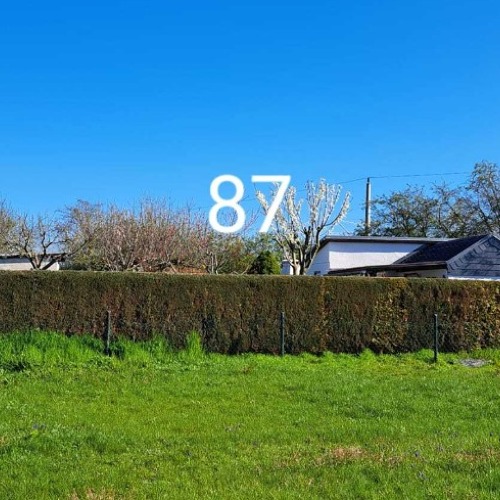 Garten 87