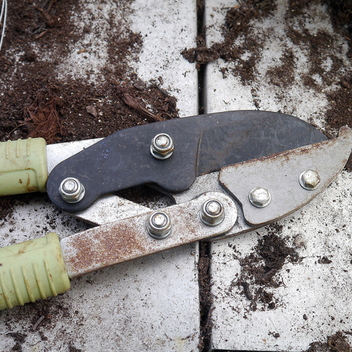 2. Arbeitseinsatz 21.M&auml;rz 2026