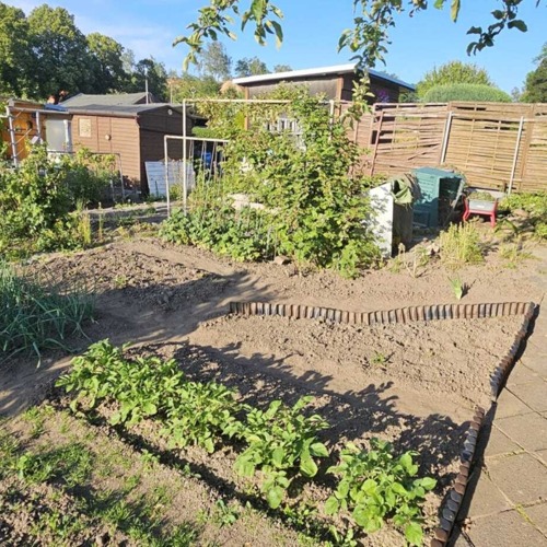 Garten 15