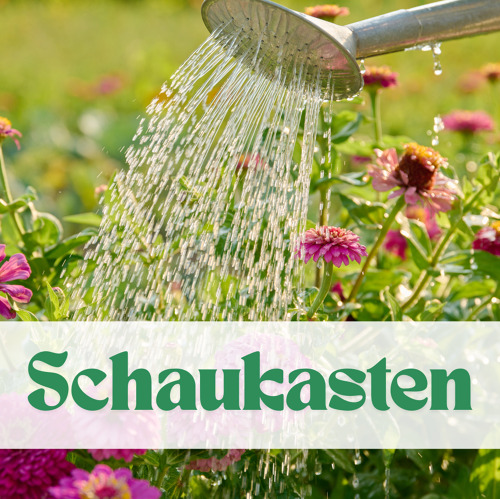 Hitze und D&uuml;rre in den Hochsommermonaten