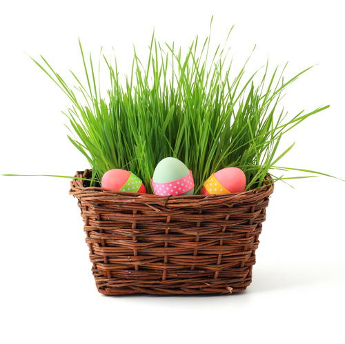 PH&Ouml;NIX feiert OSTERN!