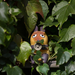 Liebe sehnende Kleingartensuchende in Pankow und Umgebung,