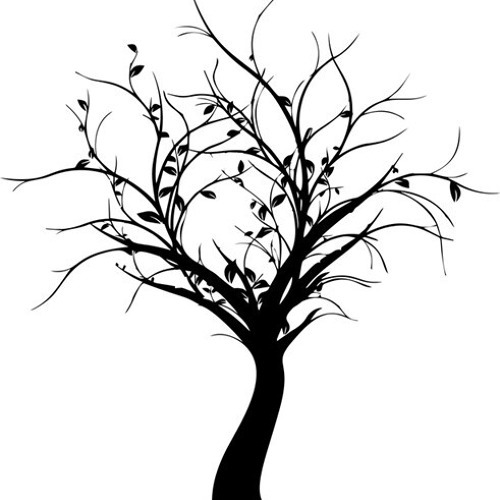 Gartentipps für den Winter 2023/24