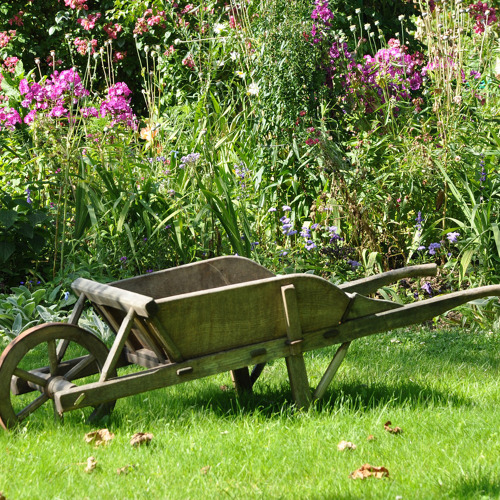 Gartenbegehung 