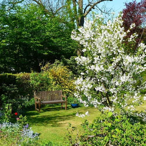 Freie G&auml;rten in der Kleingartenanlage KGV &bdquo;An der gro&szlig;en Eiche&ldquo; e.V.