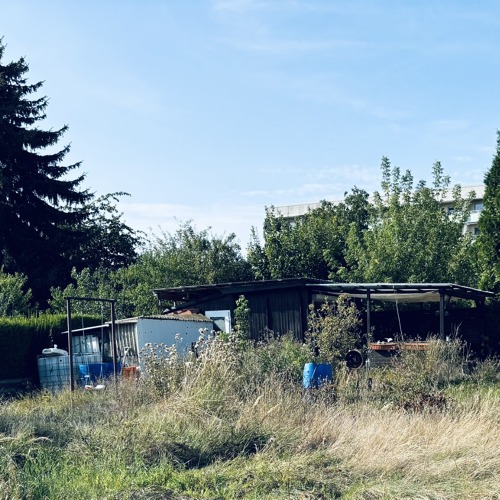 Geräumiger Pachtgarten mit angrenzendem Carport und kl. Nebengelass