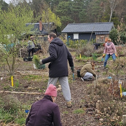 Flei&szlig;iges Team im Klimagarten&nbsp;
