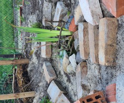 Unserer naturnahe Garten "Waldessäumchen" Teil 1